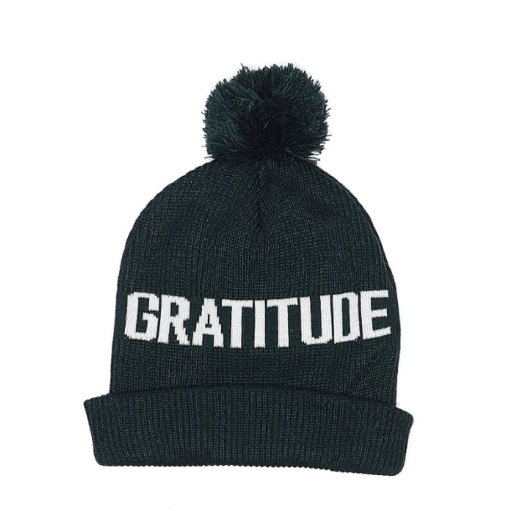 Spiritual Gangster Knit Pom Hat - Picture 1 of 1